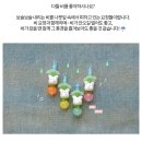자카 | 수원 행궁동 소품샵 추천 💛 내돈내산 소재자카숍 후기