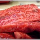 횡성축협한우프라자 이미지