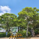 도립서귀포합창단 제69회 정기연주회 이미지