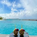 파도고개 명품세탁 | 몰디브 신혼여행, 가족여행에 딱 맞는 '더 세인트레지스 몰디브 보뮬리 리조트' 후기