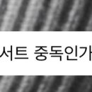 러브썸독 이미지