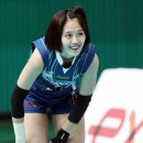 핑크 스파이더 이미지