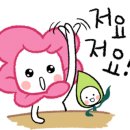 해주물산 이미지