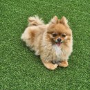 무무유치원 이미지