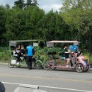 팜랜드 | 안성 가볼만한곳, 안성팜랜드 가을 후기