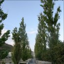 꿈의궁전 이미지