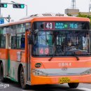 동산비사벌 이미지