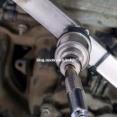 1st 카센타 이미지