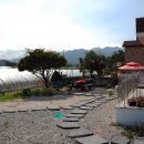 빙수네민박 이미지