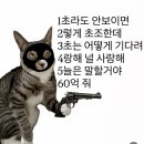 260510 - 260525 꽤나 artsy한 5월