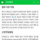 산화질소 병신직종아 홍보는 되냐? ㅋ 롱코비드 코로나 장기환자가 백혈구응집 근섬유 근아 단핵세포=백혈구 이미지