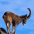 강변(소공원) 이미지