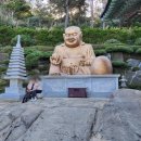 용궁사 주차장 이미지