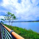 낙동강자전거길 이미지