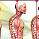 라인엑스피티스튜디오 이미지