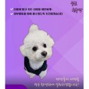 나와놀개 이미지