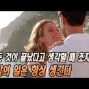 투스카니의 태양(Under The Tuscan Sun , 2003) 왜 인생이 살아갈 만한 가치가 있는지 보여주는 감동적인얘기 이미지