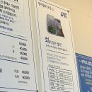 포항 영일대해수욕장 물회 맛집 환여횟집 주말 오후 후기 웨이팅/주차