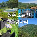 지정로 | 원주 소금산 그랜드밸리 출렁다리 다녀온 후기