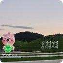 순천 겸천서원 일원 | [순천만정원] 잔망루피 포토존 &amp; 정원워케이션 순천 잔망루피 팝업 스토어