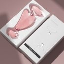 바디페이스 이미지