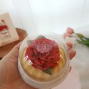 N&꽃설기