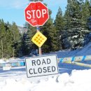 엔젤레스 이미지