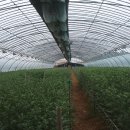 마송농장 이미지