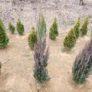 블루엔젤 하우스 이미지