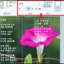 그림판 활용법- 이미지위에 글 올리기 이미지