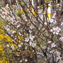 도림천화장실 이미지