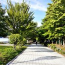 너른공원 게이트볼장 이미지