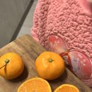 제주농장 | 겨울엔 역시 감귤! 오형제농장 제주 노지감귤 먹어본 후기