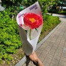 꽃작업실;이랑