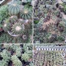 덕봉농장 이미지