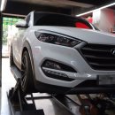 분당-245 이미지