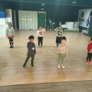 로카핏 네이버블로그