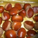 고자리 마을회관 이미지