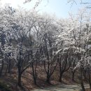 고복수변공원 이미지