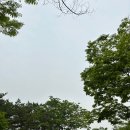 금천목재 이미지