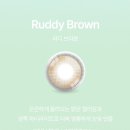 뷰티 크리에이터 안다x앤365 콜라보 러디 브라운 신상렌즈 착용샷 후기