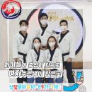 강철 용인대 태권도장 이미지