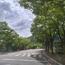 동두천컨벤션웨딩부페 | 대구 웨딩홀 뷔페 [스타디움 컨벤션웨딩] 하객입장 + 뷔페 후기 (주차·답례품)
