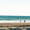 월정체육관 이미지