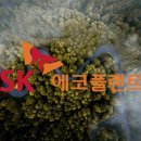 진화플랜트