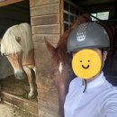 주식회사 월드승마학교 | 승마 기록 #1