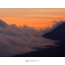 보성운해녹차 이미지