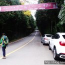 제주불교성지 순례길 절로 가는길 - 인욕의 길 이미지