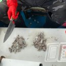 충남서산식당 이미지