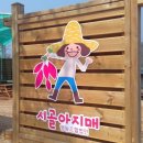 시골아지매영농조합법인 이미지